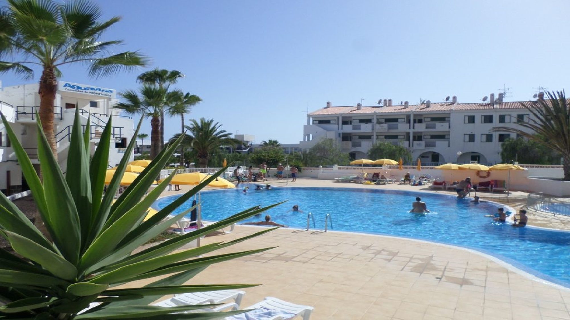 1 Bedroom Apartment in Tenerife for rent Agua Viva Callao Salvaje