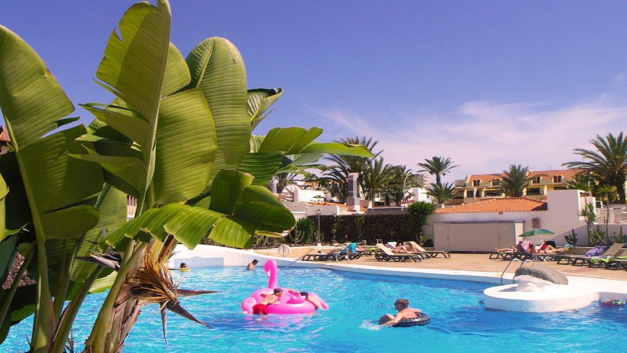 2 Bedroom Apartments Holiday Rental Playa De Las Americas Tenerife 8779